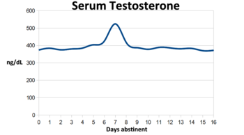 masturbation testosterone increase does