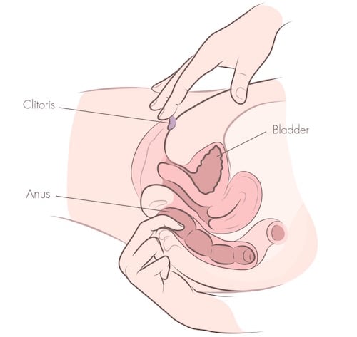anal fingering technique