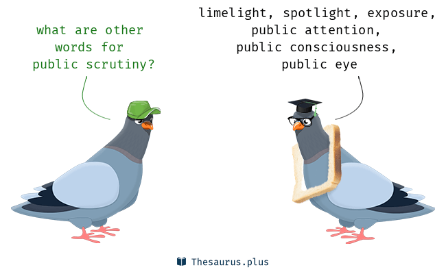 scrutiny what public is