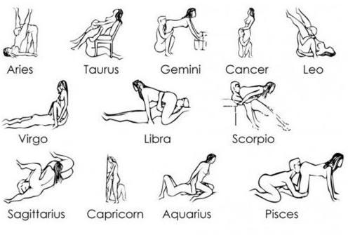 zodiac sex position sign for