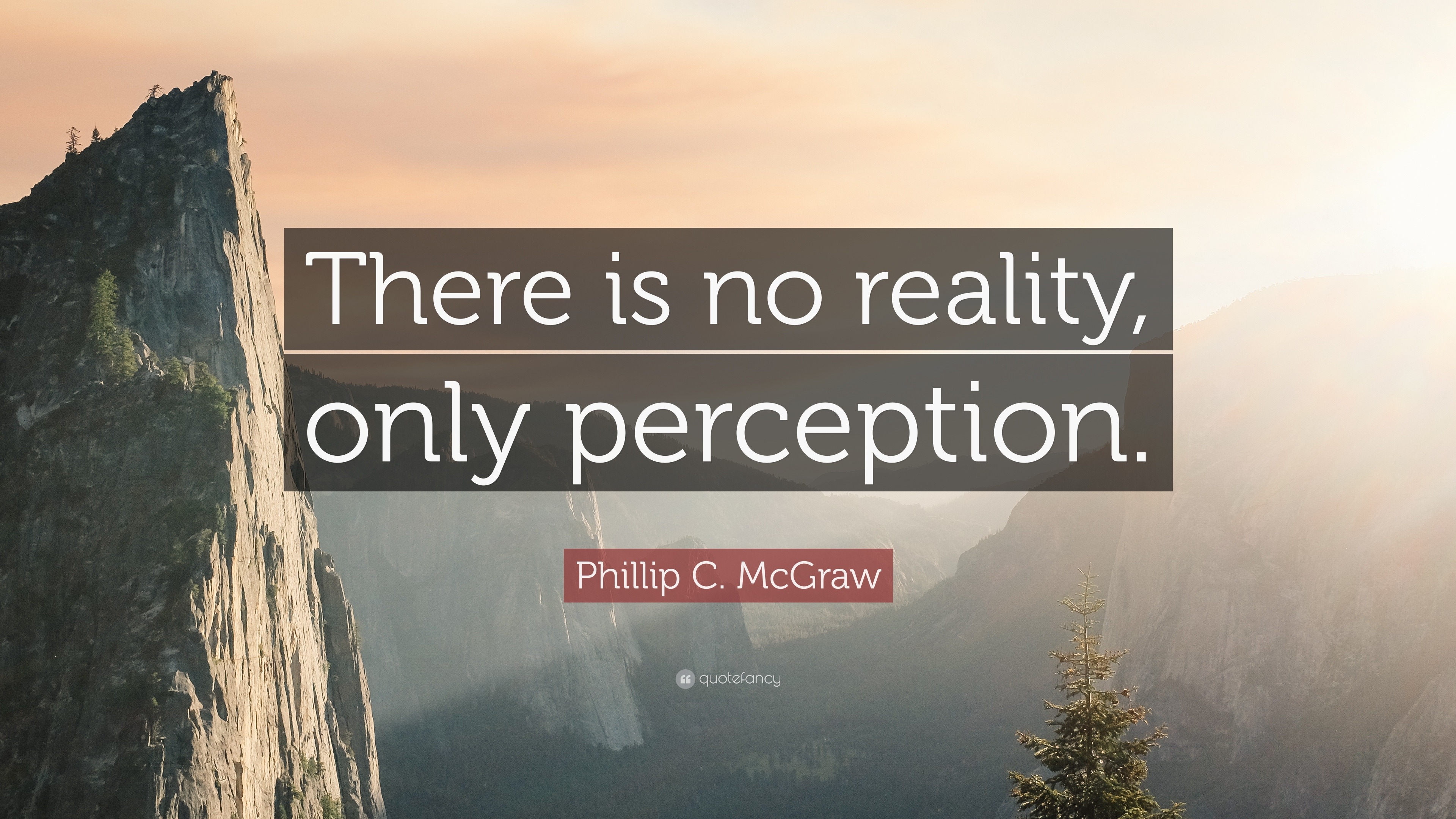 perception reality only is