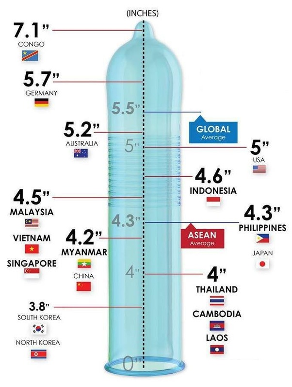 asian penis an size average for