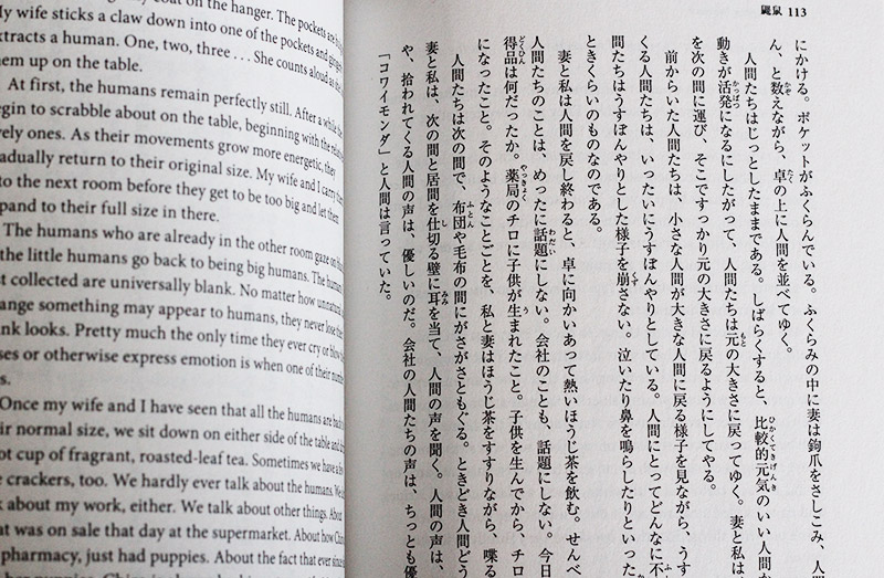 japanese book in