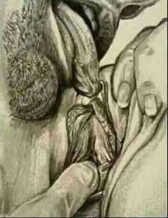 drawn erotic sex