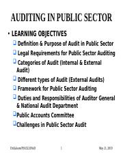 public sector auditing