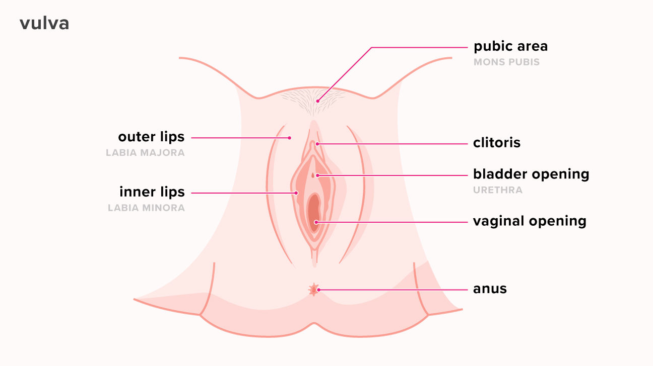 info vagina set wide