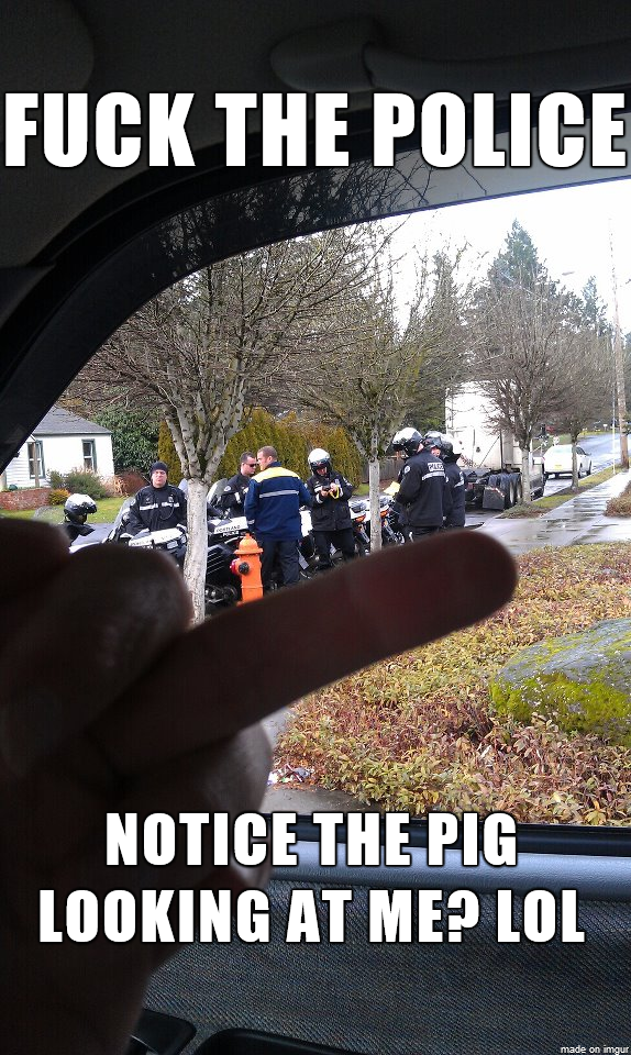 fuck the police meme